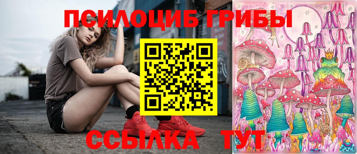 Галлюциногенные грибы Magic Shrooms Курчалой