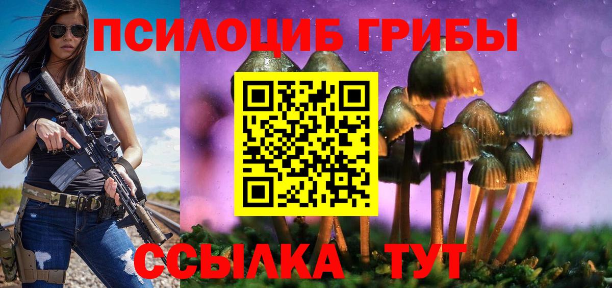 Галлюциногенные грибы GOLDEN TEACHER  Вход с VPN  Курчалой 